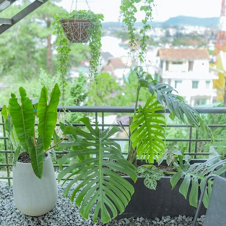 Hilly Hostel Da Lat Eksteriør billede