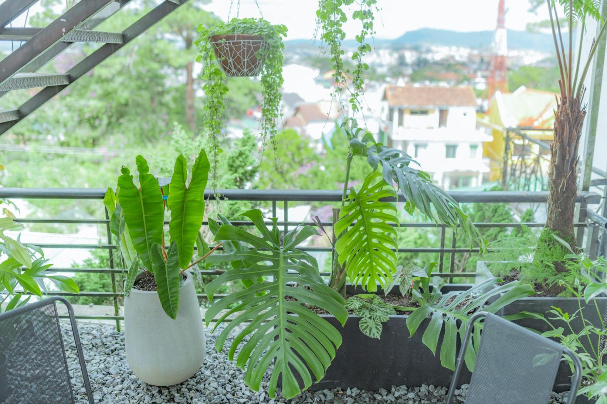 Hilly Hostel Da Lat Eksteriør billede